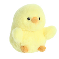 Aurora - Rolly Pets - Chickadee Chick