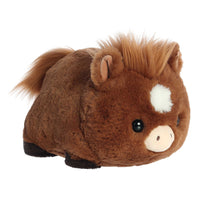 Aurora - Spudsters - Hudson Horse