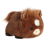 Aurora - Spudsters - Hudson Horse