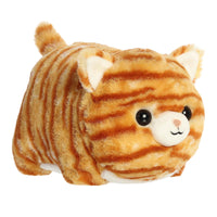 Aurora - Spudsters - Taco Orange Tabby