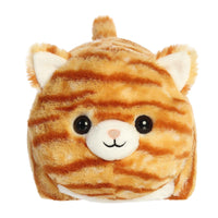 Aurora - Spudsters - Taco Orange Tabby