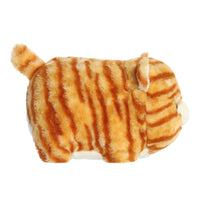 Aurora - Spudsters - Taco Orange Tabby