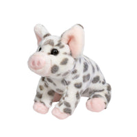 Douglas - Pauline Spotted Pig - Small