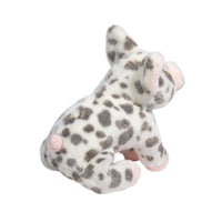 Douglas - Pauline Spotted Pig - Small