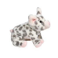 Douglas - Pauline Spotted Pig - Small
