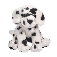 Douglas - Checkers Dalmation