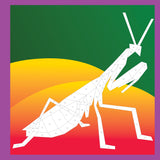 Workman Publishing - Paint By Sticker Kids - Beautiful Bugs